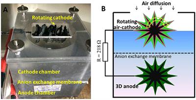 Substrate Crossover Effect and Performance Regeneration of the Biofouled Rotating Air-Cathode in Microbial Fuel Cell